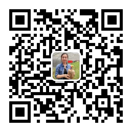 扫描二维码添加微信