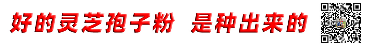 泰山仙草灵芝