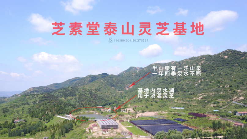灵芝孢子粉选择的时候应该注意的事情：灵芝基地很重要