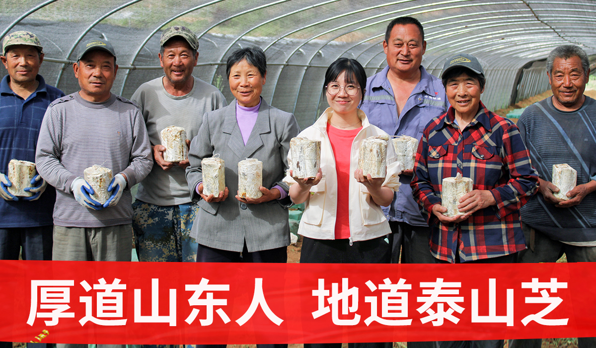 灵芝孢子粉价格是多少？价格差异产生在哪？
