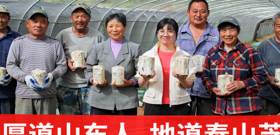 灵芝三萜是什么？灵芝孢子粉应该如何选？